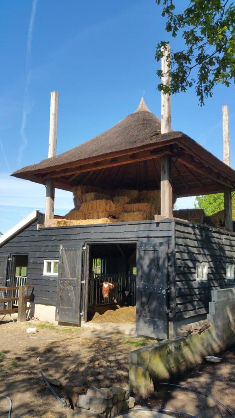Bed and Breakfast Landgoed Groot Boerle Wijhe Zewnętrze zdjęcie