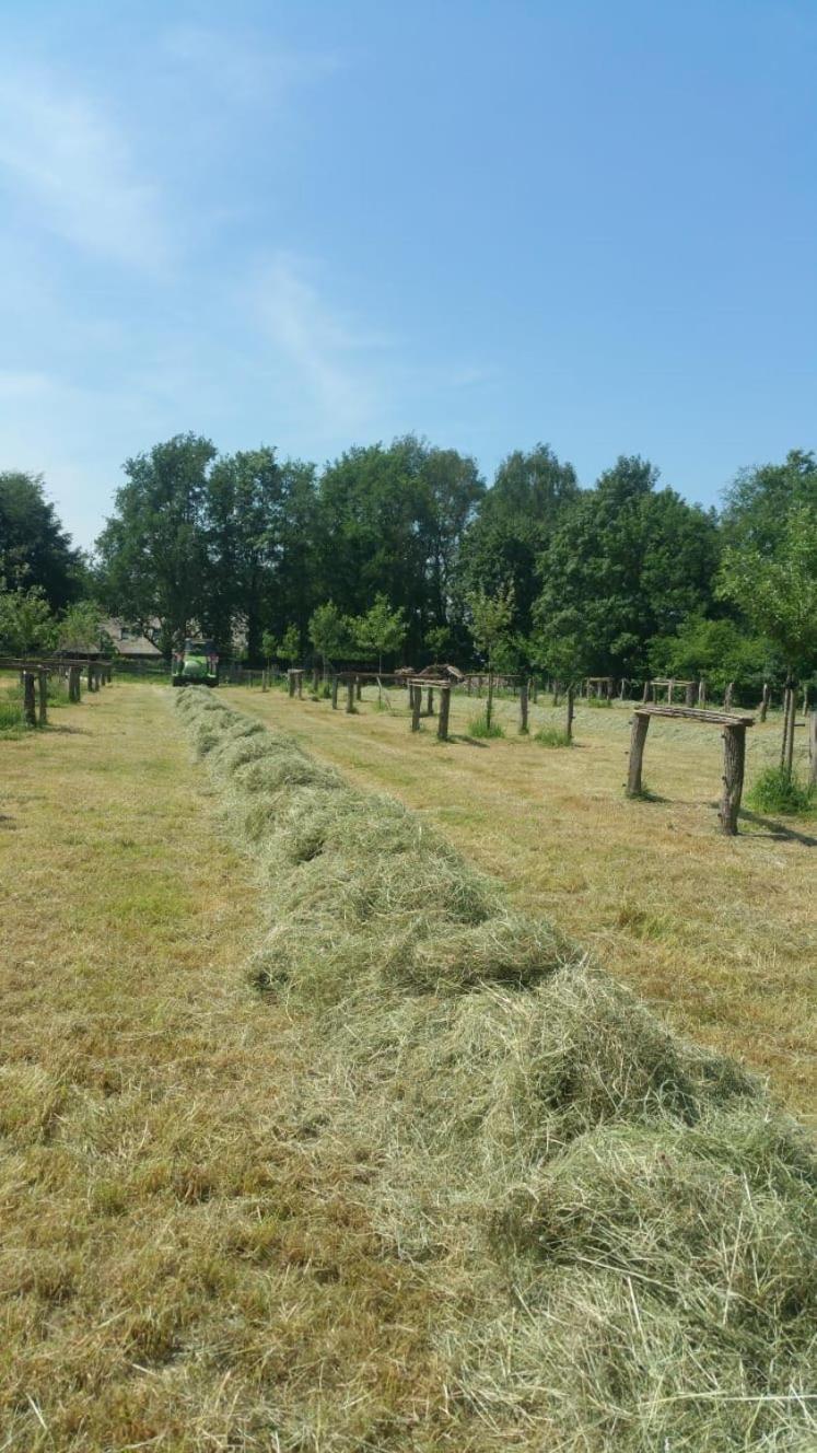 Bed and Breakfast Landgoed Groot Boerle Wijhe Zewnętrze zdjęcie